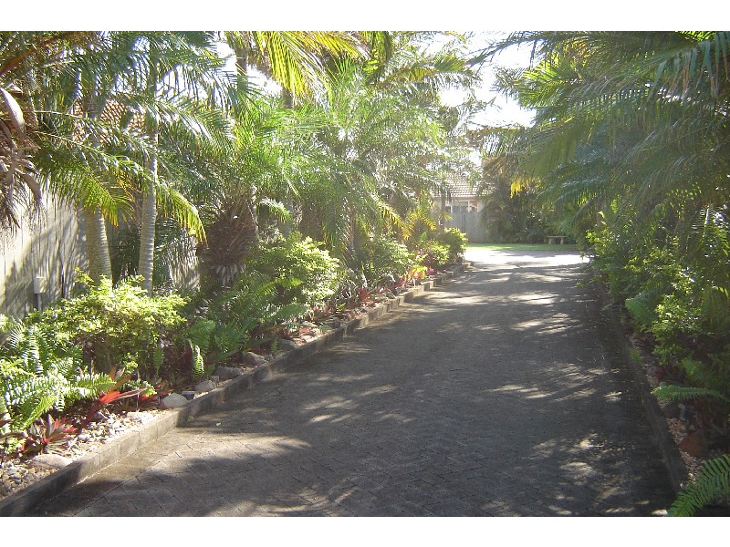 6 Wimbrel Court, Wurtulla QLD 4575