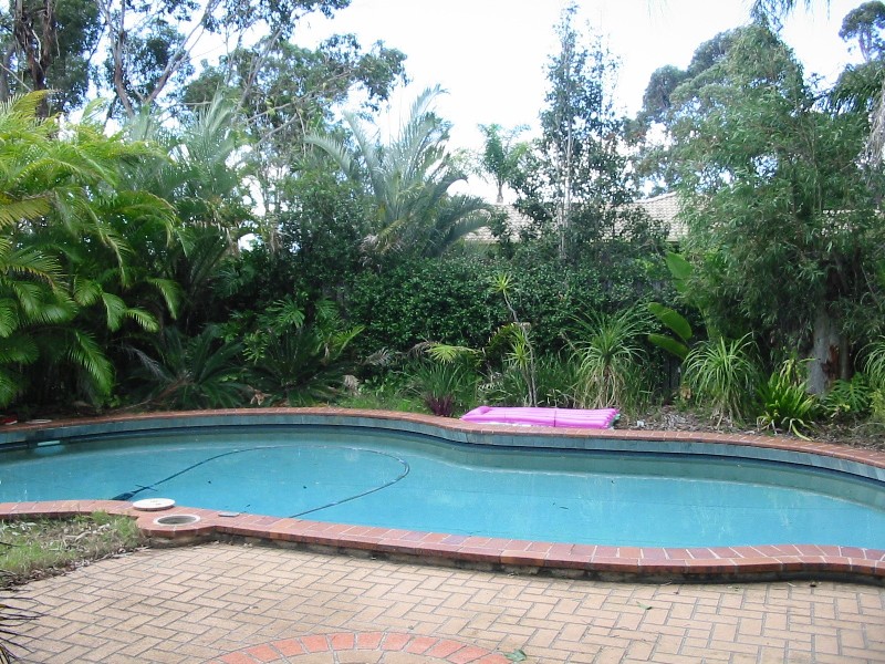 50 Whitehall Ave, Birkdale QLD 4159