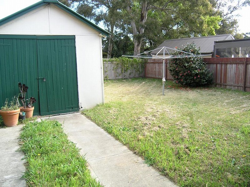 Ashfield NSW 2131