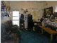 Ashfield NSW 2131