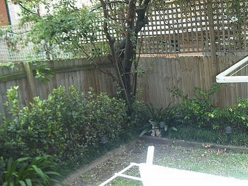 Ashfield NSW 2131