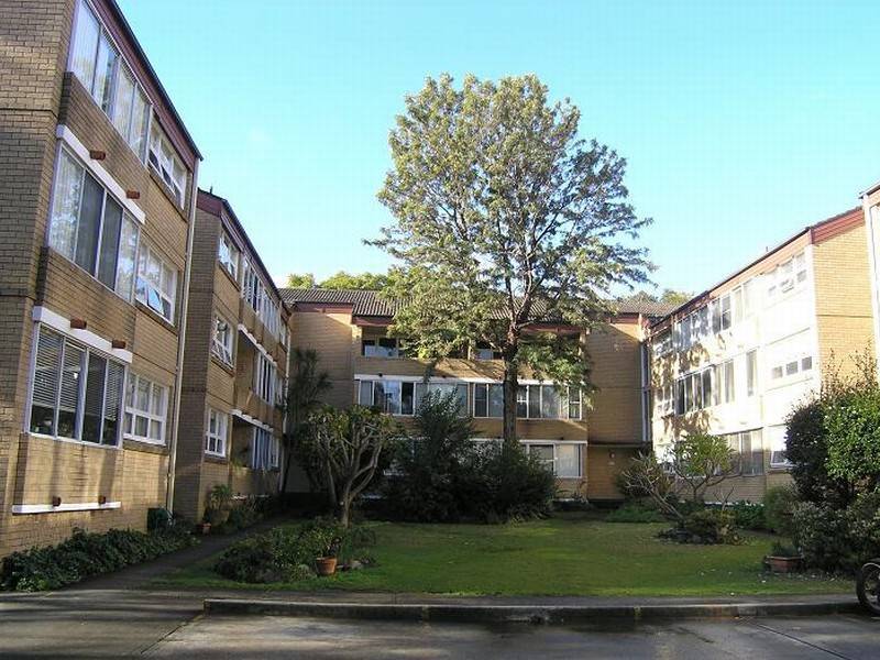 115 alt, Ashfield NSW 2131