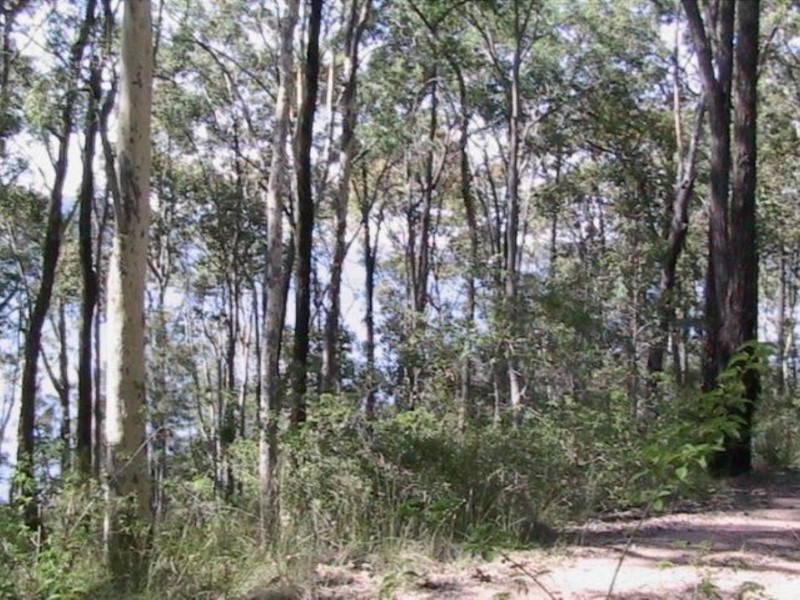 125 Eastslope Way, North Arm Cove NSW 2324