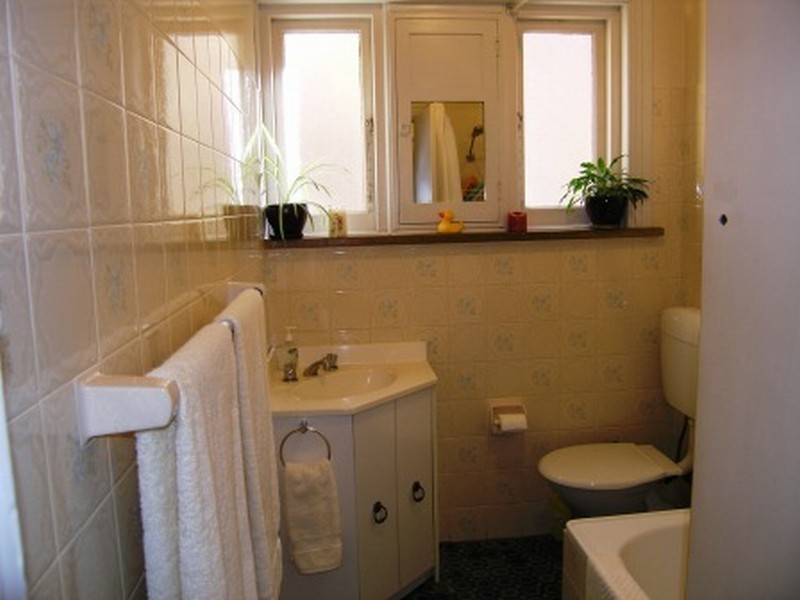 155 Norton Street, Ashfield NSW 2131