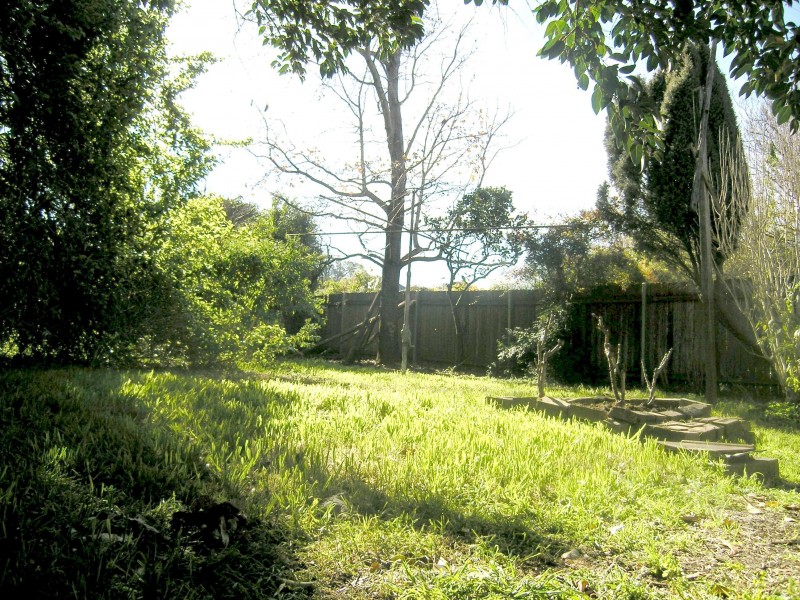 2-3  Etonville Parade, Ashfield NSW 2131