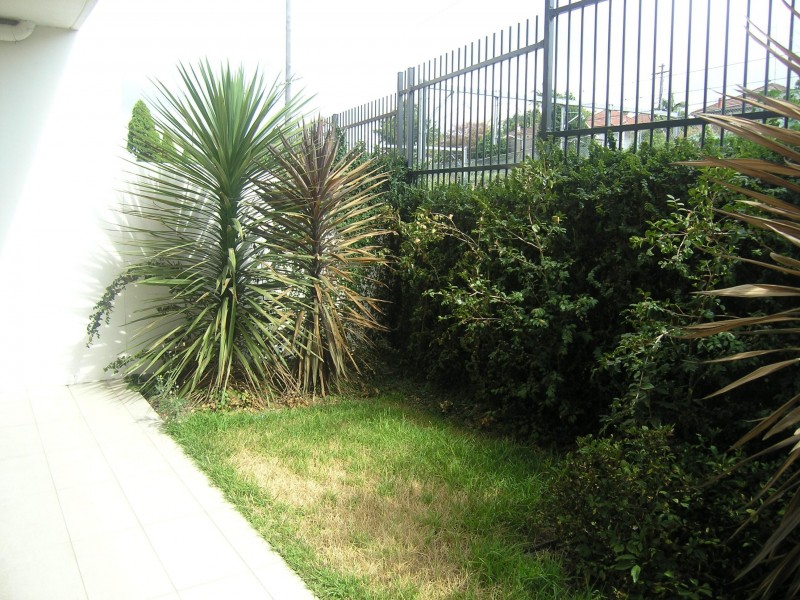 82/20 Close Street, Hurlstone Park NSW 2193