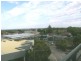 Ashfield NSW 2131