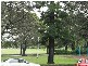Ashfield NSW 2131