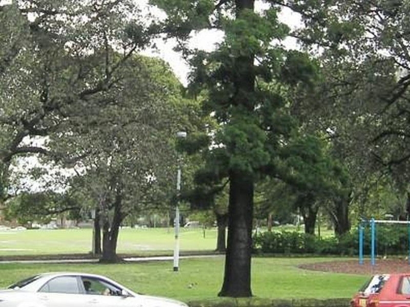 Ashfield NSW 2131