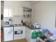 8 Cavill, Ashfield NSW 2131