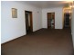 10 Tintern Road, Ashfield NSW 2131