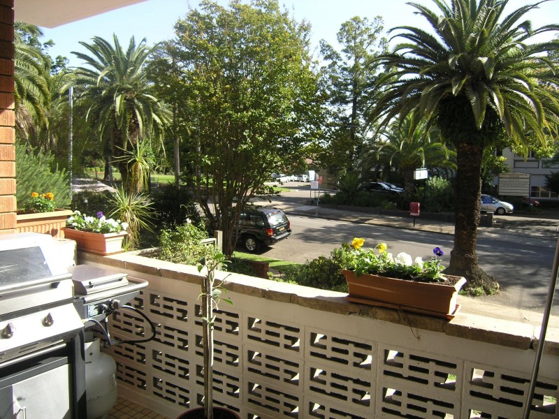 Ashfield NSW 2131