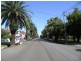 Ashfield NSW 2131