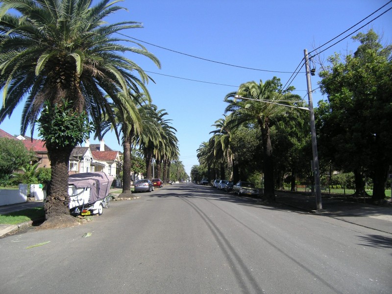Ashfield NSW 2131
