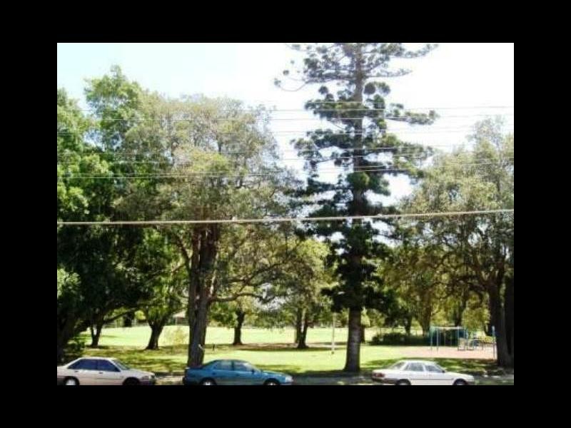 21 Ormond, Ashfield NSW 2131