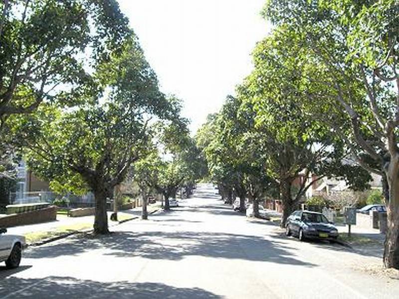 26 Orpington Street, Ashfield NSW 2131