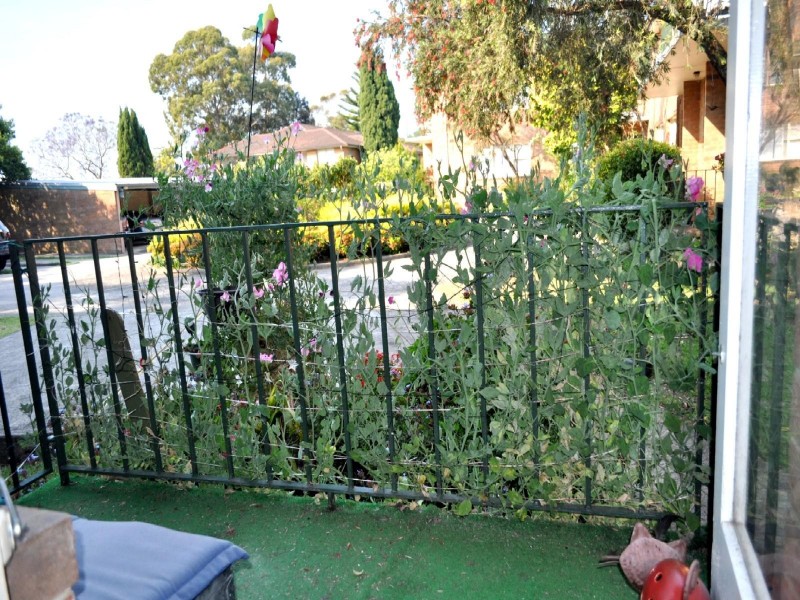 8/28a Henry St, Ashfield NSW 2131