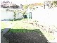 Ashfield NSW 2131