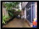 6 Regent Street, Leichhardt NSW 2040