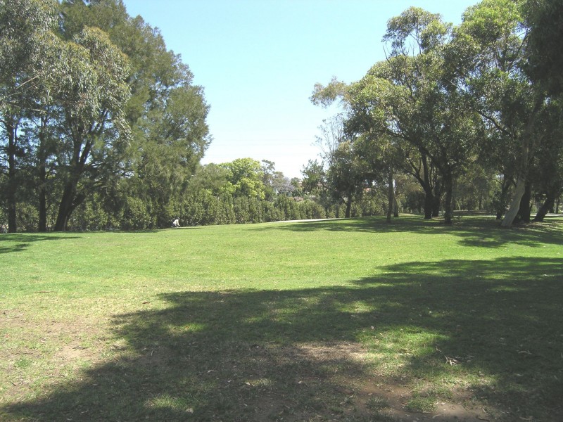 20 CLOSE STREET, Canterbury NSW 2193