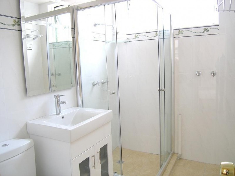 98 Carlton Crescent, Summer Hill NSW 2130