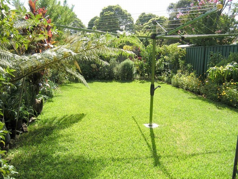 3 Henry Street, Ashfield NSW 2131