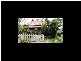 Croydon NSW 2132