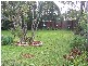 Croydon NSW 2132