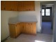 Ashfield NSW 2131
