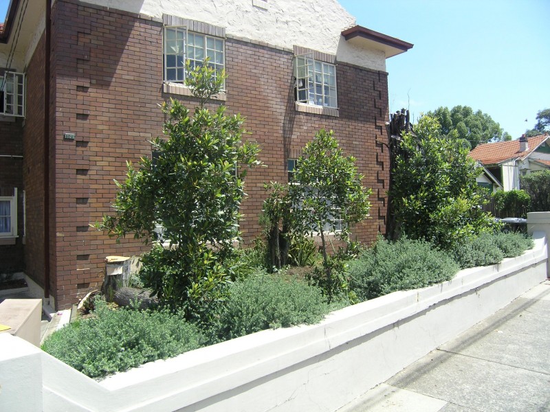 106 LIVERPOOL ROAD, Ashfield NSW 2131
