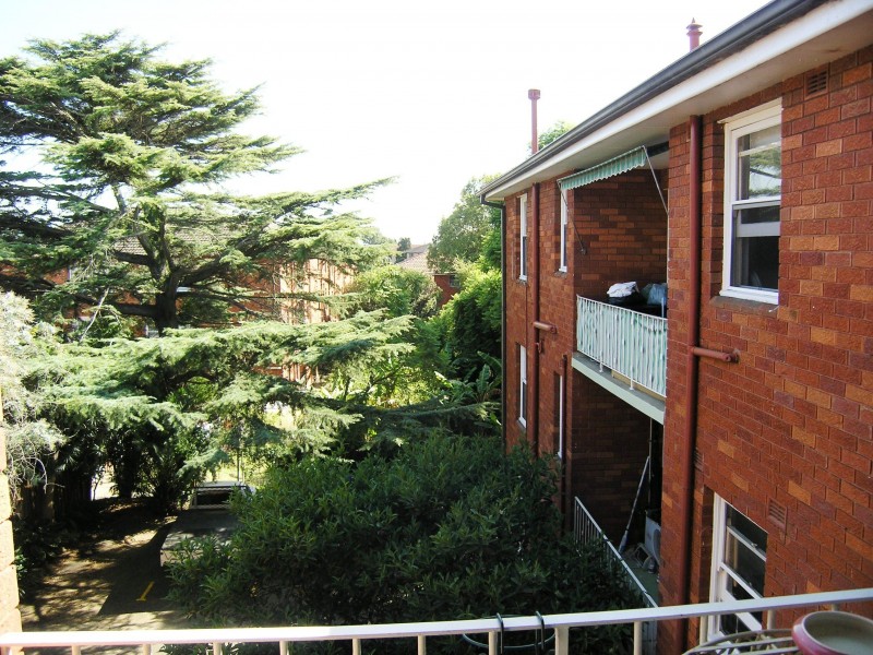 7 Grainger Avenue, Ashfield NSW 2131