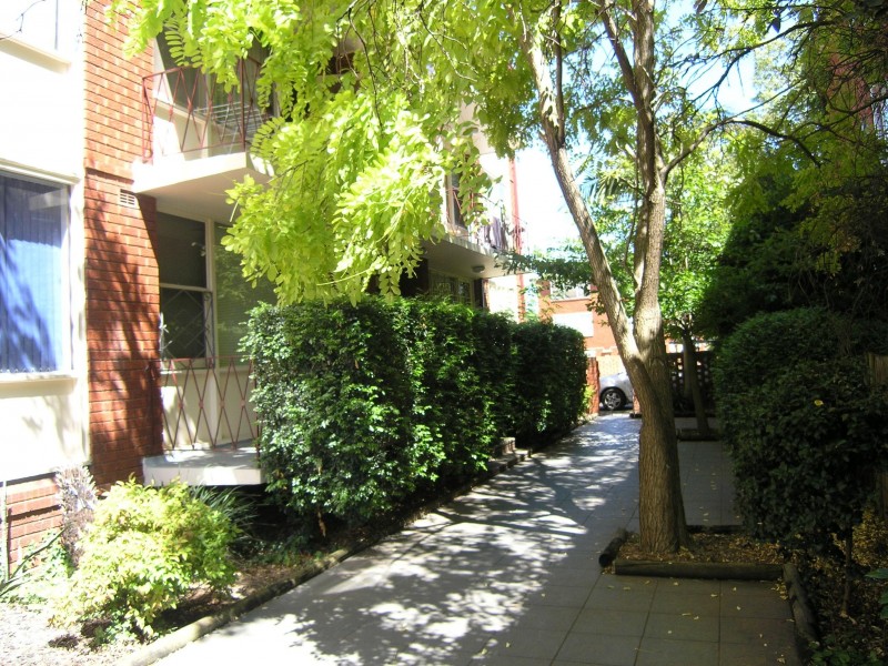 41 ALBERT PARADE, Ashfield NSW 2131