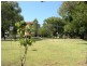 41 ALBERT PARADE, Ashfield NSW 2131