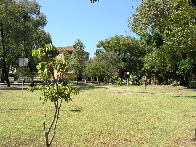 41 ALBERT PARADE, Ashfield NSW 2131
