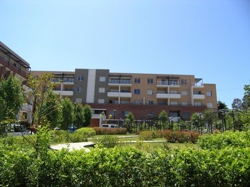 20 Close Street, Canterbury NSW 2193