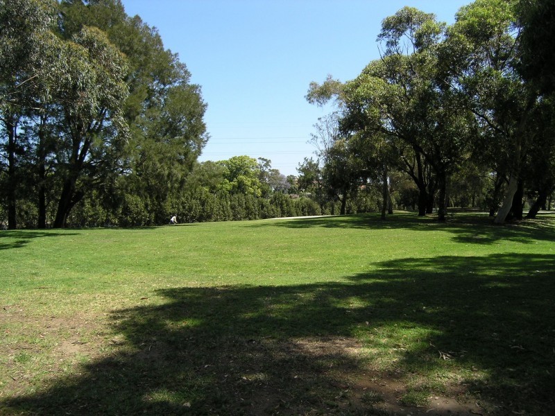 20 Close Street, Canterbury NSW 2193