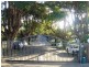37 OAK, Ashfield NSW 2131