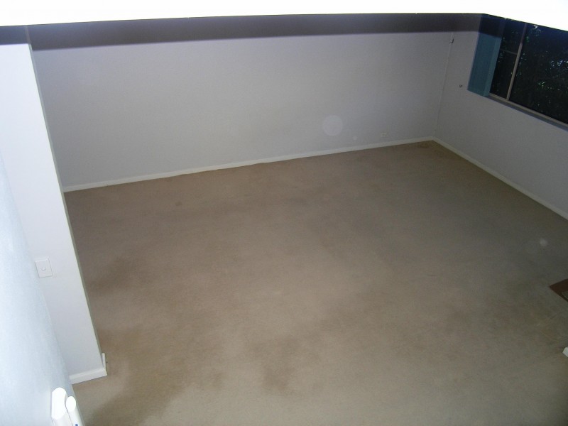 37 OAK, Ashfield NSW 2131