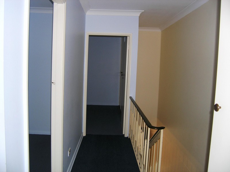 Ashfield NSW 2131