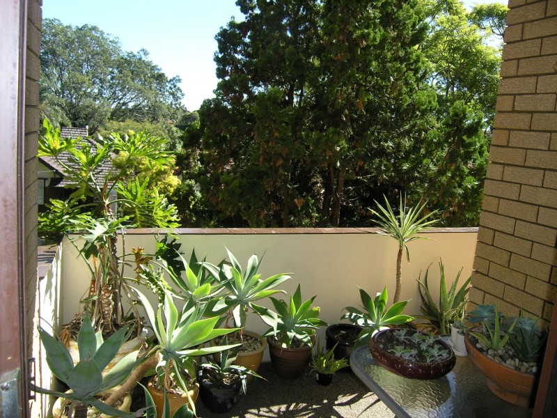 6/51-55 Alt Street, Ashfield NSW 2131