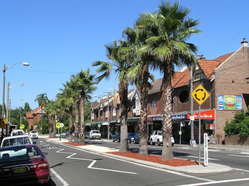 25 Edwin street South, Croydon NSW 2132