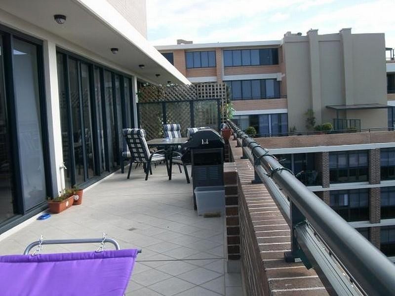 Ashfield NSW 2131