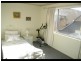Ashfield NSW 2131