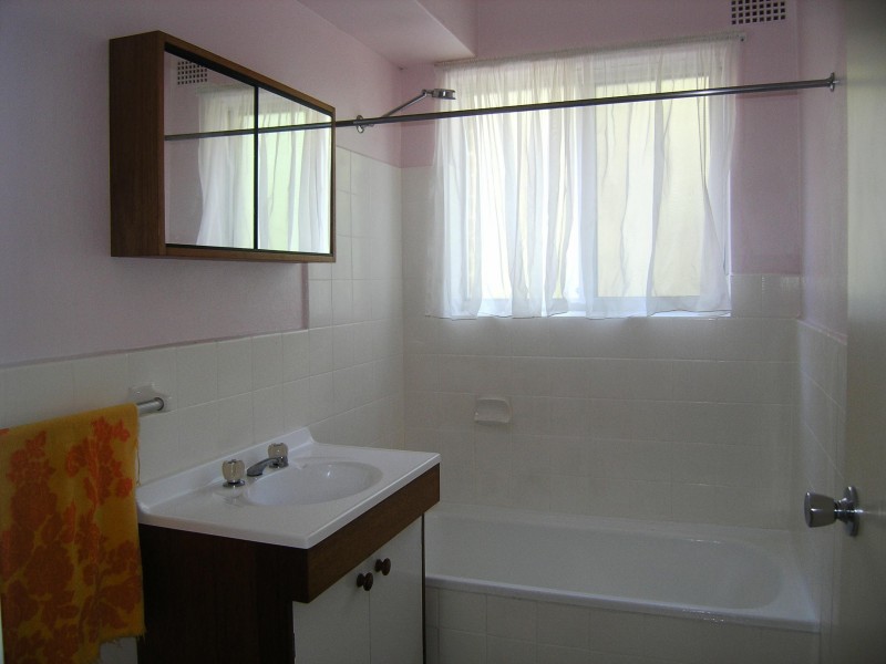 17 The Crescent, Berala NSW 2141