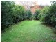 Ashfield NSW 2131