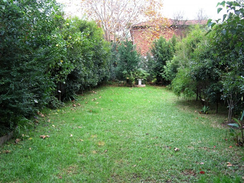Ashfield NSW 2131