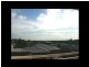 Ashfield NSW 2131