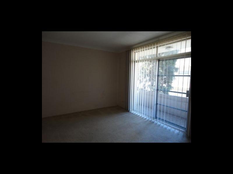 Ashfield NSW 2131