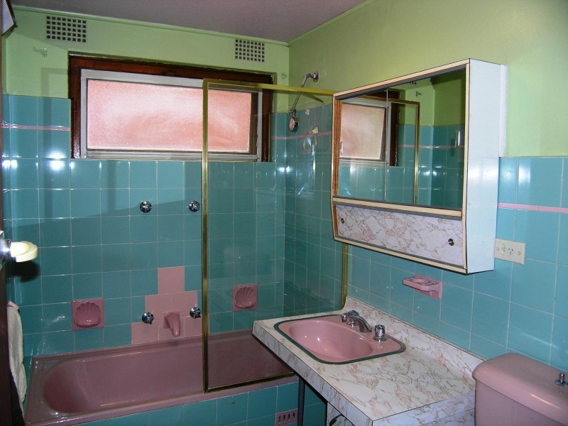 10 TINTERN ROAD, Ashfield NSW 2131