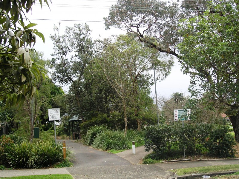 10 TINTERN ROAD, Ashfield NSW 2131